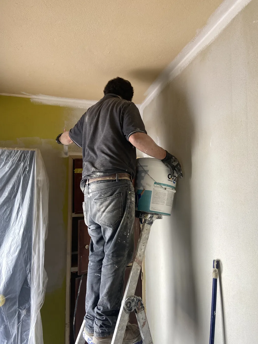 Pintura e Pladur
